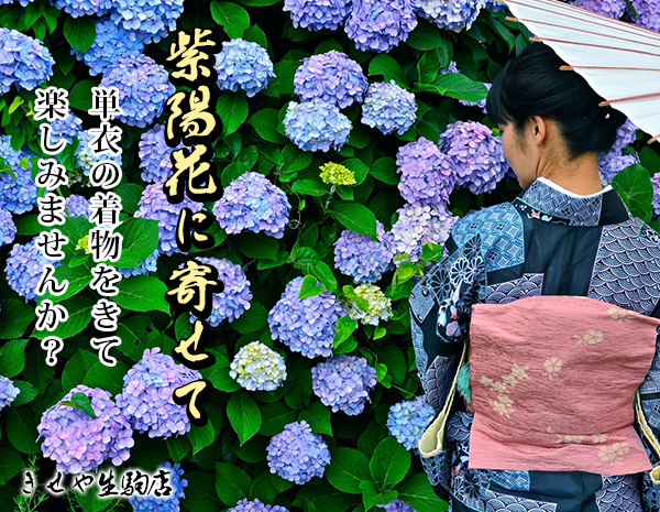 紫陽花に寄せて